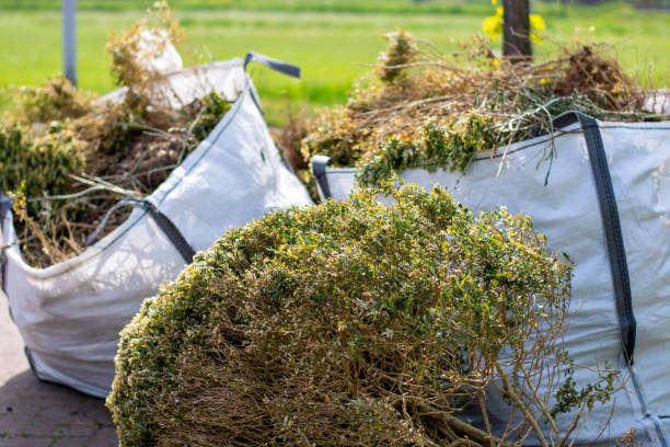 Best Electronics Removal Services  in Ramseur, NC